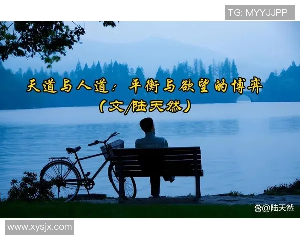 顾全大局与个人情感的平衡之道探讨