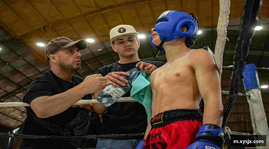 关于XK星空体育